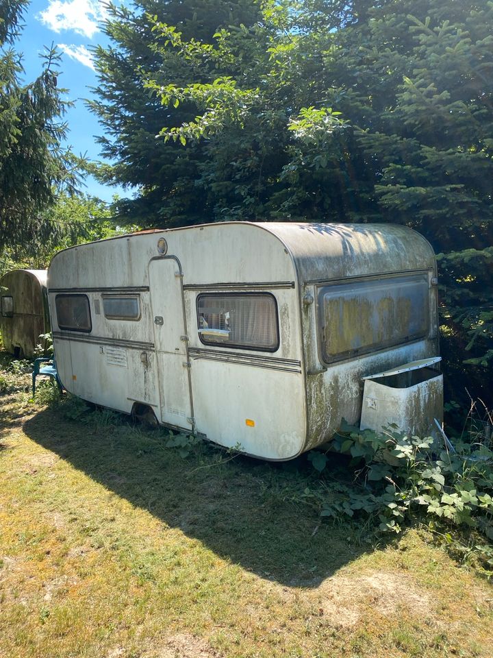 Knaus Wohnwagen zu verschenken in RheinlandPfalz Bell (Hunsrück
