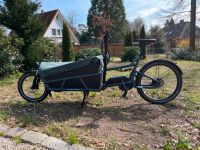 Riese & Müller Laod 75 Vario Cargobike Niedersachsen - Bendestorf Vorschau