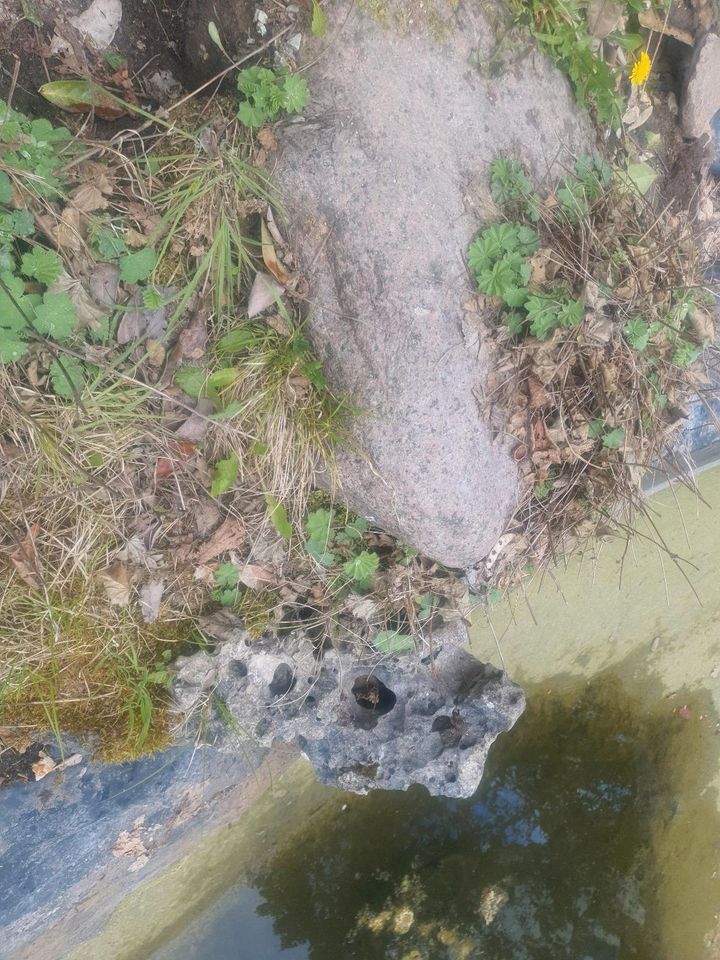 Teichsteine Dekosteine Lochsteine zu verschenken in Bad Homburg