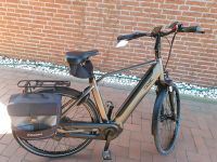 Qwic Premium E-Bike Niedersachsen - Twistringen Vorschau