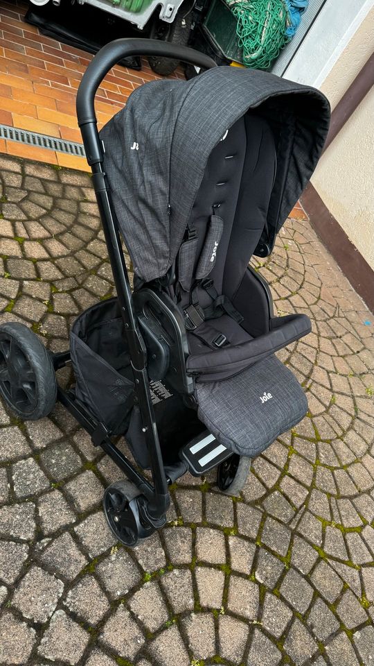 Kinderwagen Joie in Dreisen