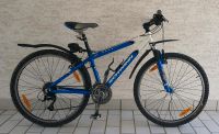 Mountainbike Mesa GSX von Schwinn Baden-Württemberg - Notzingen Vorschau