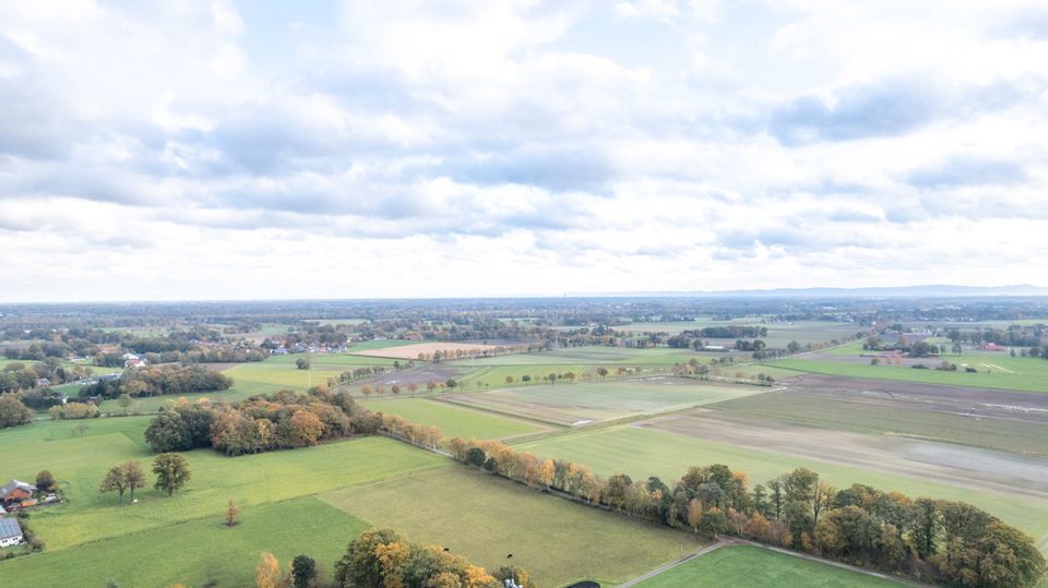 Mensch und Pferd, ein allumfängliches zu Hause.... in Rahden