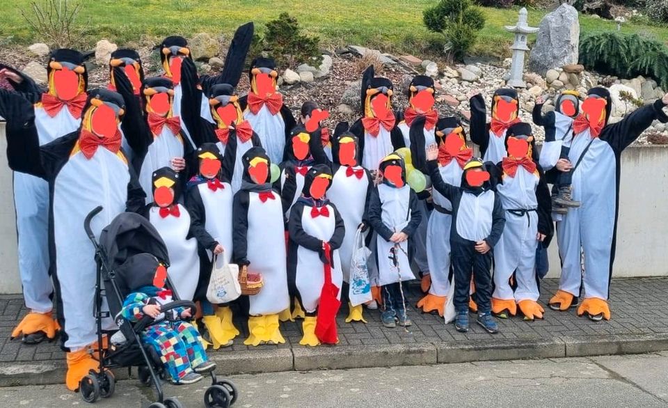 Gruppenkostüme Pinguine Fastnacht/Karneval in Lykershausen