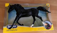 Breyer KB Omega Fahim mit Karton Niedersachsen - Altenau Vorschau