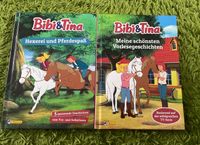 Bibi und Tina Bücher Baden-Württemberg - Glottertal Vorschau