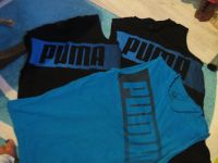 Puma Shirts T-Shirts ärmellos M 48 50 neu Harburg - Hamburg Neuland Vorschau