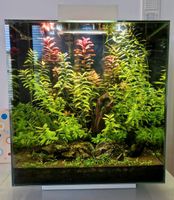 Fluval Edge 2 Nano Aquarium 46 bitte lesen!! Baden-Württemberg - Reutlingen Vorschau