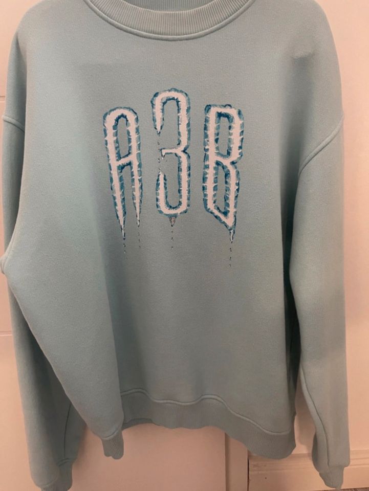 A3B Sweater in Wallmerod