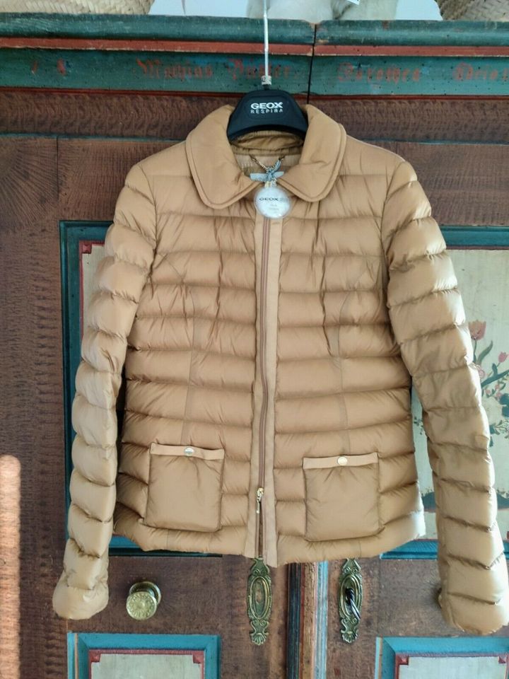 Geox Respira edle Jacke Sommerdaune Daunenjacke gold Gr.36 NEU in Jettingen