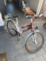 Pegasus Fahrrad zu verkaufen Nordrhein-Westfalen - Rommerskirchen Vorschau