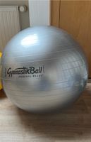 Original Pezziball 65 cm Gymnastikball Silber grau Nordrhein-Westfalen - Lemgo Vorschau