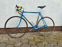 KOGA MIYATA ProRacer Vintage Rennrad blau 58 Dura Ace Nordrhein-Westfalen - Gütersloh Vorschau