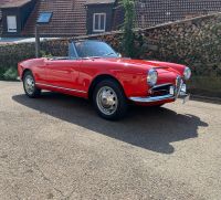 Alfa Giulia Spider 1600 Veloce Bayern - Tapfheim Vorschau