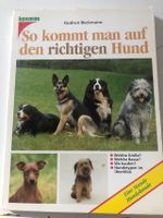 So kommt man auf der richtigen Hund Schleswig-Holstein - Lübeck Vorschau