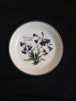 Villeroy und Boch Botanica Campanula rotundifolia kleiner Teller Nordrhein-Westfalen - Windeck Vorschau