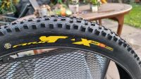 MTB Reifen - Mavic Crossmax Charge XL 650b 27,5" Rheinland-Pfalz - Budenheim Vorschau