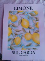 Aquarell Limone DIN A3 Niedersachsen - Edemissen Vorschau