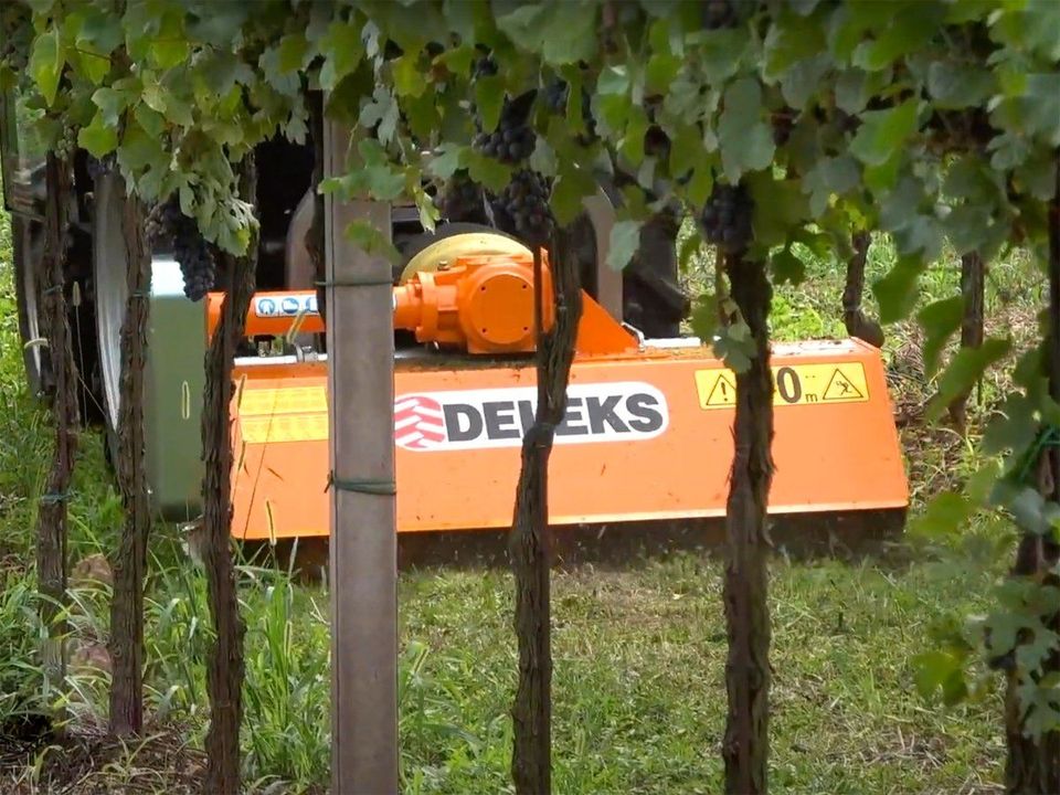 DELEKS® LINCE-165 MULCHER SCHLEGELMULCHER MÄHER MÄHWERK 1,65m in Pfaffenhofen a. d. Glonn