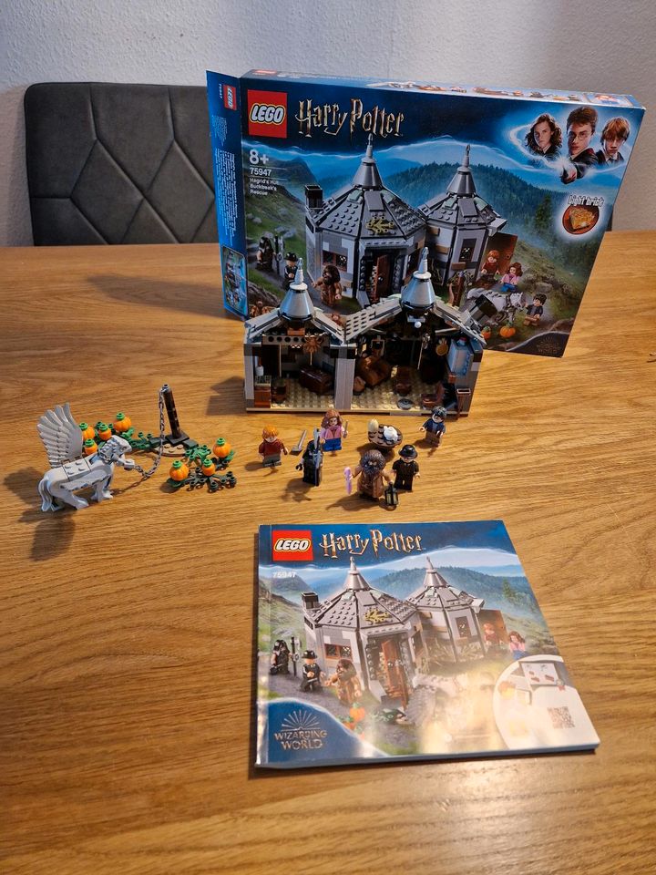 Lego Harry Potter Hagrid's Hütte 75947 in Essen