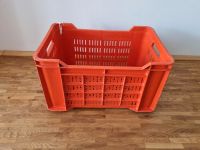 Obst & Gemüse-Kiste 53x35x31cm Transportbox Gartenbox Aufbewahrun West - Unterliederbach Vorschau