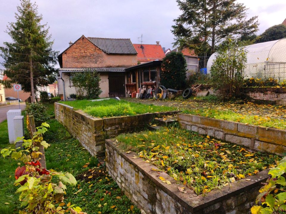 Charmantes Bauernhaus mit Nebengelass und viel Platz zum Wohnen in Bad Langensalza