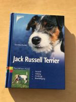 Jack Rassell Terrier Niedersachsen - Worpswede Vorschau