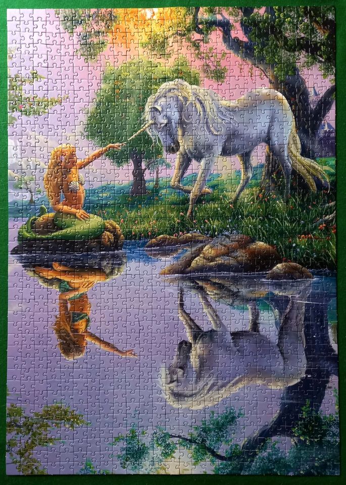 Fantasy Puzzle 2x 1000 Teile in Miesbach