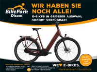 Batavus Elektro-Fahrrad Plus Bosch Performance i750Wh 5-Gang 2024 Niedersachsen - Dissen am Teutoburger Wald Vorschau