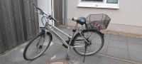 Gudereit Fahrrad Niedersachsen - Rastede Vorschau