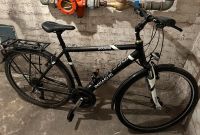 Fahrrad Pegasus, 28 zoll Hessen - Friedberg (Hessen) Vorschau