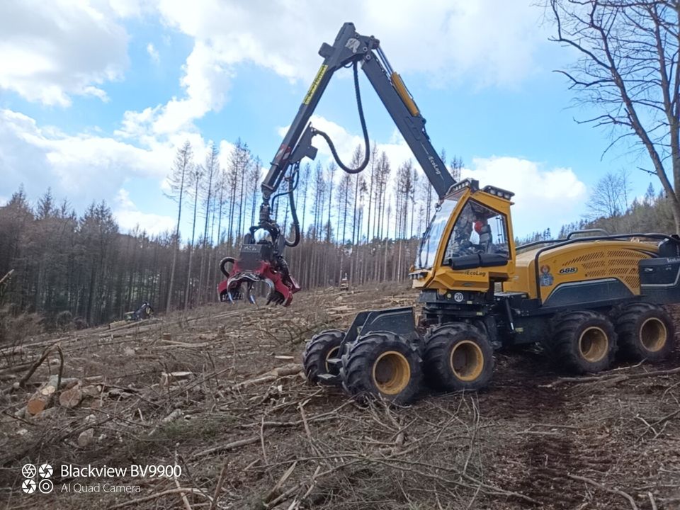 Harvester Eco Log 688 Waratah, Forstmaschine, in Spenge