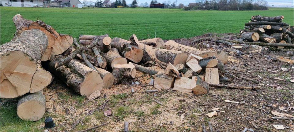 Brennholz Polter zu verkaufen in Kornwestheim