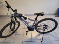 Trek Powerfly 4 Women´s M29 186 Kilometer Hessen - Siegbach Vorschau