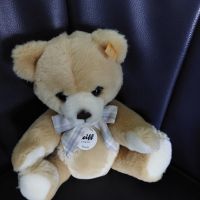 Steiff Teddy Petsy 012266 Nordrhein-Westfalen - Windeck Vorschau