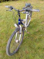 Fahrrad Mountainbike Lakes 26 Zoll 21 Gänge RH 50 cm weiß blau Rheinland-Pfalz - Pirmasens Vorschau