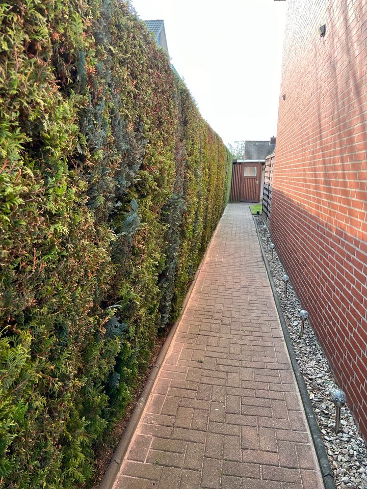 Gärtner/Gartenpflege/Hecke schneiden/Rasen mähen/Vertikutieren in Geesthacht