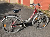 Pegasus Fahrrad für Kinder Nordrhein-Westfalen - Erftstadt Vorschau