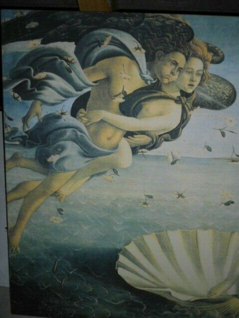 Leinwandbild Botticelli - Geburt der Venus - 143x88 cm in Hohenaspe