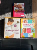 Bücher Schwangerschaft, erste Jahr mit Baby und Breies für Babys Baden-Württemberg - Essingen Vorschau