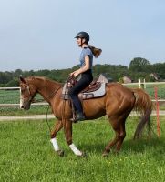 16j Paint Horse Stute 1,49 m Gelände Freizeit Nordrhein-Westfalen - Brüggen Vorschau