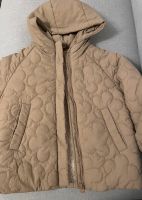 Steppjacke Jacke Übergangsjacke Mädchen Zara beige braun 110 Niedersachsen - Celle Vorschau