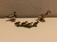 Schleich Enten Familie 13655 Küken 13454 Erpel 13653 Rarität Düsseldorf - Gerresheim Vorschau