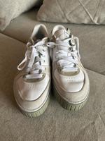 Schuhe Puma 40,5 Wuppertal - Vohwinkel Vorschau