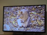 Samsung TV | 46 zoll | UE46EH5200 Berlin - Hellersdorf Vorschau