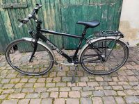 Dancelli Fiora 28 Zoll sportliches Fahrrad Rheinland-Pfalz - Weisenheim am Sand Vorschau