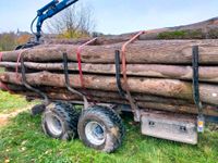 Stammholz Brennholz Buche, Eiche, Esche, Fichte Polter Holz Baden-Württemberg - Eppingen Vorschau