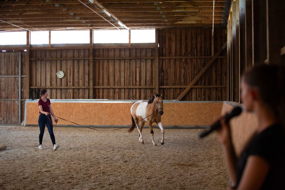 Praktikum auf Pferdehof, Pferde-Praktikum, Unterricht in Neuhaus am Inn