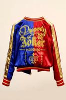 SUCHE Harley Quinn 2016 Jacke Aachen - Aachen-Richterich Vorschau