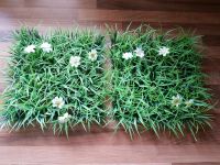 Grass / Wiese / Deko / Blumen  》 Tausche 《 Niedersachsen - Drochtersen Vorschau